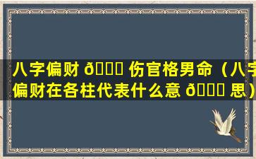 八字偏财 🕊 伤官格男命（八字偏财在各柱代表什么意 🐅 思）